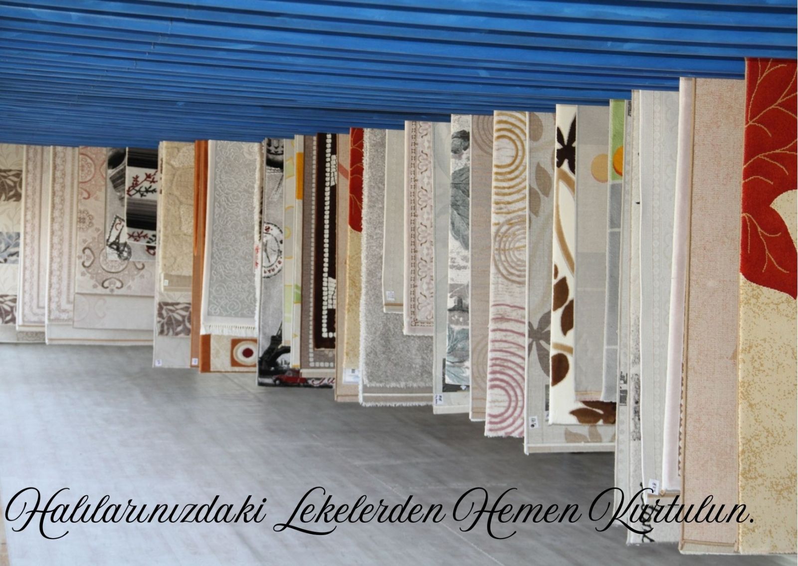 Afyon Halı Yıkama Firması